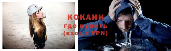 хмурый Дегтярск