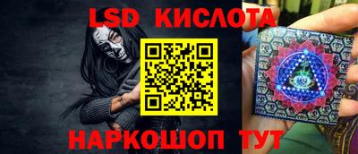 гидра Заводоуковск