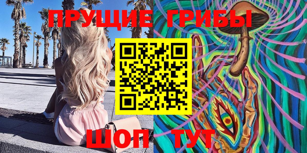 Галлюциногенные грибы Cubensis Новоалександровск