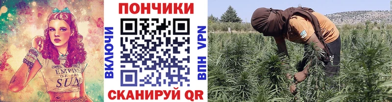 darknet состав  Новоалександровск  МАРИХУАНА OG Kush  хочу наркоту 